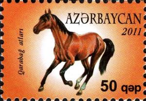 Colnect-4428-767-Karabakh-Horse-Equus-ferus-caballus.jpg
