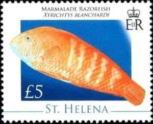 Colnect-5947-854-Marmalade-Razorfish-Xyrichthys-blanchardi.jpg
