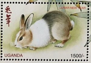 Colnect-6061-051-Black---White-Rabbit-Oryctolagus-cuniculus-forma-domestica.jpg