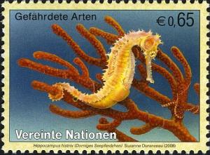 Colnect-611-539-Spiny-Seahorse-Hippocampus-histrix.jpg