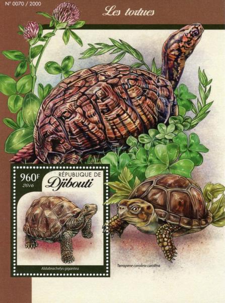 Colnect-4549-171-Aldabra-giant-tortoise-Aldabrachelys-gigantea.jpg