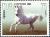 Colnect-2567-232-Lipizzan-Horse-Equus-ferus-caballus.jpg