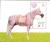 Colnect-3056-460-Arabian-Horse-Equus-ferus-caballus.jpg