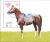 Colnect-3056-463-Arabian-Horse-Equus-ferus-caballus.jpg