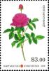 Colnect-5530-489-Flora-of-Kyrgyzstan.jpg