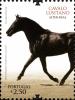Colnect-596-629-Lusitano-Horse-Equus-ferus-caballus.jpg