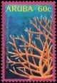 Colnect-1386-262-Staghorn-Coral-Acropora-cervicornis-.jpg