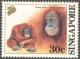 Colnect-2025-369-Bornean-Orangutan-Pongo-pygmaeus.jpg