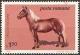 Colnect-743-502-Bukovina-Horse-Equus-ferus-caballus.jpg