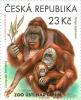 Colnect-5175-299-Bornean-orangutans.jpg