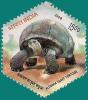 Colnect-539-919-Aldabra-Giant-Tortoise-Aldabrachelys-gigantea.jpg