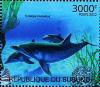 Colnect-3102-350-Common-Bottlenose-Dolphin-Tursiops-truncatus.jpg