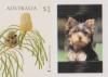 Colnect-5271-621-Banksia-speciosa-with-Personalizable-Label.jpg