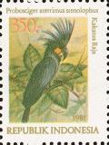 Colnect-1102-238-Palm-Cockatoo-Probosciger-aterrimus-ssp-stenolophus-.jpg