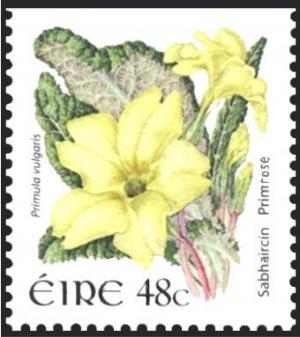 Colnect-1927-591-Primrose-Primula-vulgaris.jpg