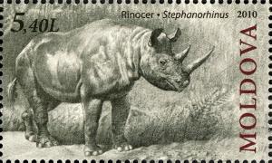 Colnect-1945-506-Merck-s-Rhinoceros-Stephanorhinus-kirchbergensis.jpg
