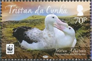 Colnect-4568-639-Tristan-Albatross-Diomedea-exulans-dabbenena.jpg