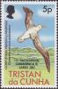 Colnect-2027-900-Tristan-Albatross-Diomedea-exulans-dabbenena.jpg