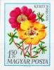 Colnect-5035-731-Mexican-Rose-Portulaca-grandiflora.jpg