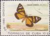 Colnect-1847-156-Moth-Phaloe-cubana.jpg