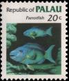 Colnect-2321-654-Parrotfish-Cetoscarus-sp.jpg