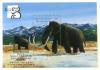 Colnect-562-584-Wooly-Mammoth-Mammuthus-primigenius.jpg