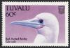 Colnect-850-696-Red-footed-Booby-Sula-sula.jpg