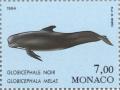 Colnect-149-678-Long-finned-Pilot-Whale-Globicephala-melaena.jpg
