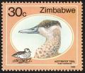 Colnect-2343-043-Hottentot-Teal-Anas-hottentota.jpg