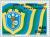 Colnect-177-731-World-Cup-Football-Championship--Brazil.jpg