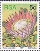 Colnect-772-846-King-protea-Protea-cynaroides.jpg