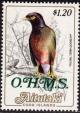 Colnect-3873-096-Common-Myna-Acridotheres-tristis-overprinted-OHMS.jpg