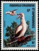 Colnect-574-981-Red-footed-Booby-Sula-sula.jpg