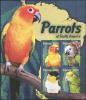 Colnect-3016-392-Parrots-of-South-America.jpg