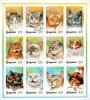 Colnect-4922-743-12-Cats-from-Scottish-Fold---Calico-Shorthair.jpg
