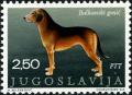 Colnect-4228-232-Balkanian-Hound-Canis-lupus-familiaris.jpg
