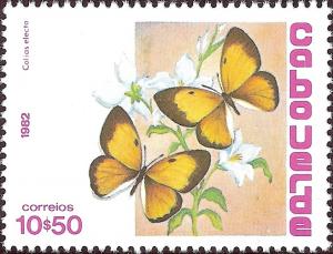 Colnect-1126-662-African-Clouded-Yellow-Colias-electo.jpg