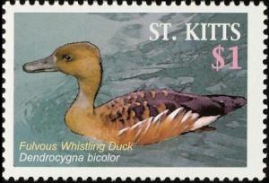 Colnect-1659-395-Fulvous-Whistling-Duck%C2%A0.jpg