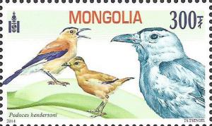 Colnect-2156-836-Mongolian-Ground-jay-Podoces-hendersoni.jpg