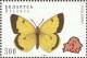 Colnect-1047-731-Moorland-Clouded-Yellow-Colias-palaeno.jpg