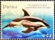 Colnect-5920-250-Hourglass-dolphin.jpg