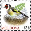 Stamps_of_Moldova%2C_2010-15.jpg