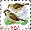 Stamps_of_Moldova%2C_2010-16.jpg