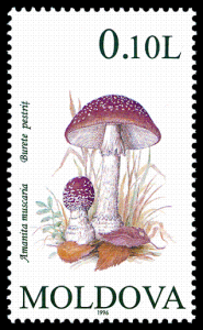 Stamp_of_Moldova_135_-_2.png