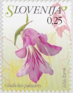 Colnect-3011-578-Flowers-of-Slovenia---Gladiolus-palustris.jpg