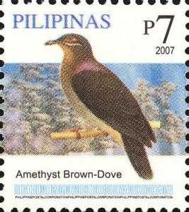 Colnect-2876-035-Amethyst-Brown-Dove-nbsp-Phapitreron-amethystina.jpg
