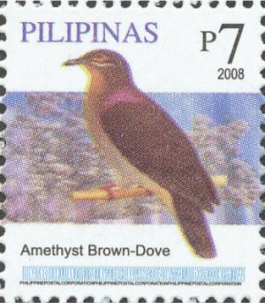 Colnect-2874-983-Amethyst-Brown-Dove-nbsp-Phapitreron-amethystina.jpg