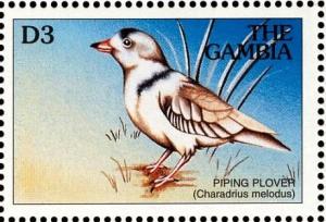 Colnect-3505-637-Piping-Plover%C2%A0Charadrius-melodus.jpg