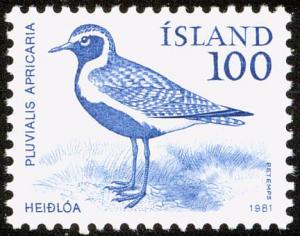 Colnect-3708-178-Golden-Plover-Pluvialis-apricaria.jpg