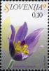 Colnect-712-503-Flowers-of-Slovenia---Pulsatilla-grandis.jpg